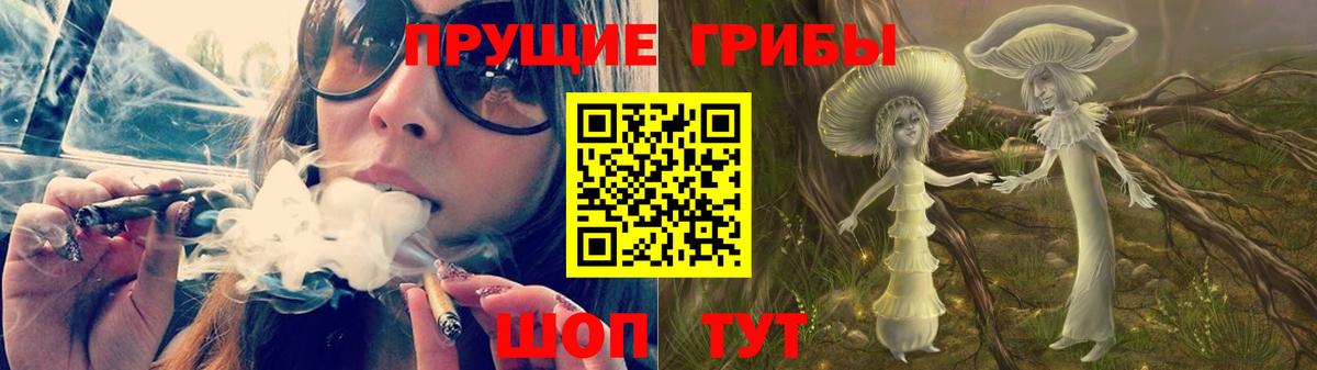 Галлюциногенные грибы Cubensis Минусинск